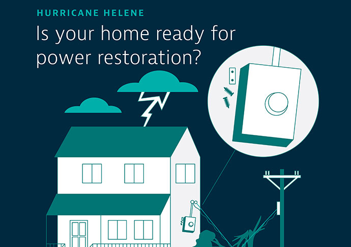 Check for damage to your home's electric service entrance